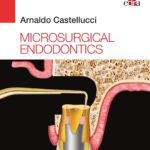 Microsurgical endodontics